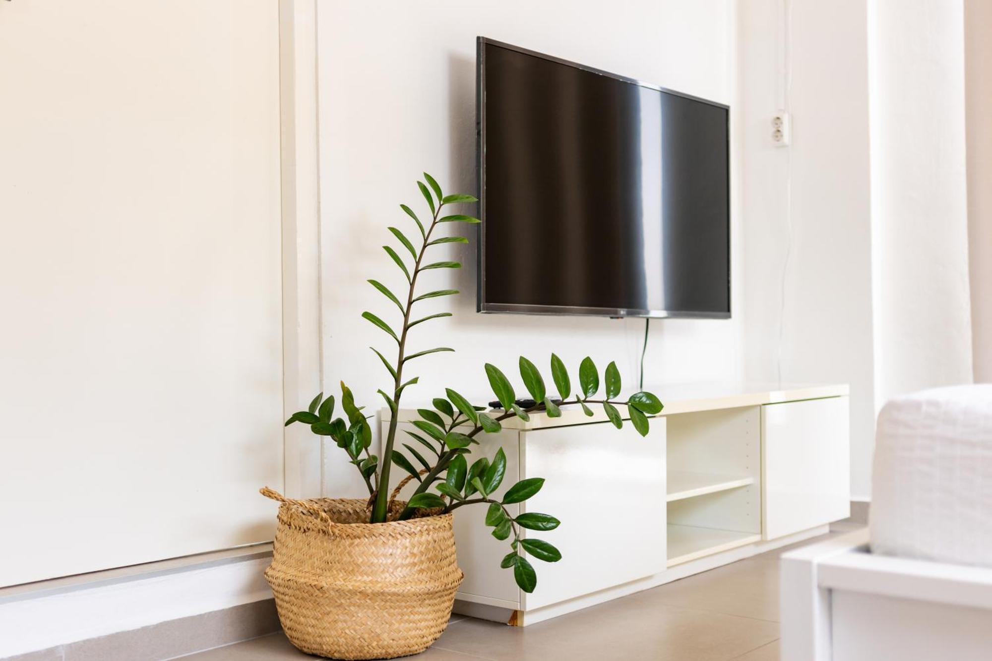 Studio Apartment Volterra Curacao 威廉斯塔德 外观 照片